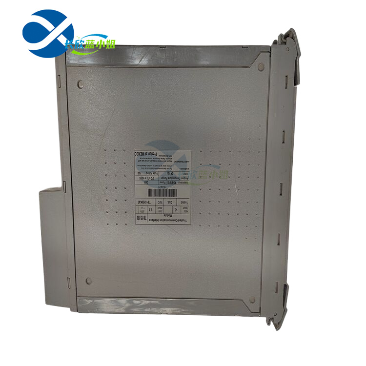 ICS TRIPLEX T8173 PLC 模块