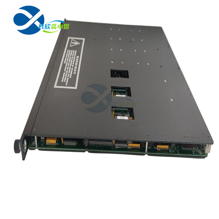 TRICONEX 4200