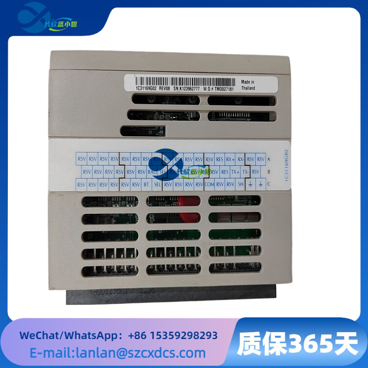 1C31169G02