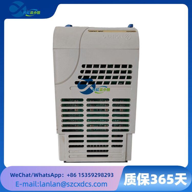 1C31234G01
